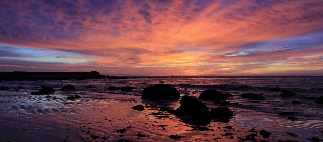 Stony Beach