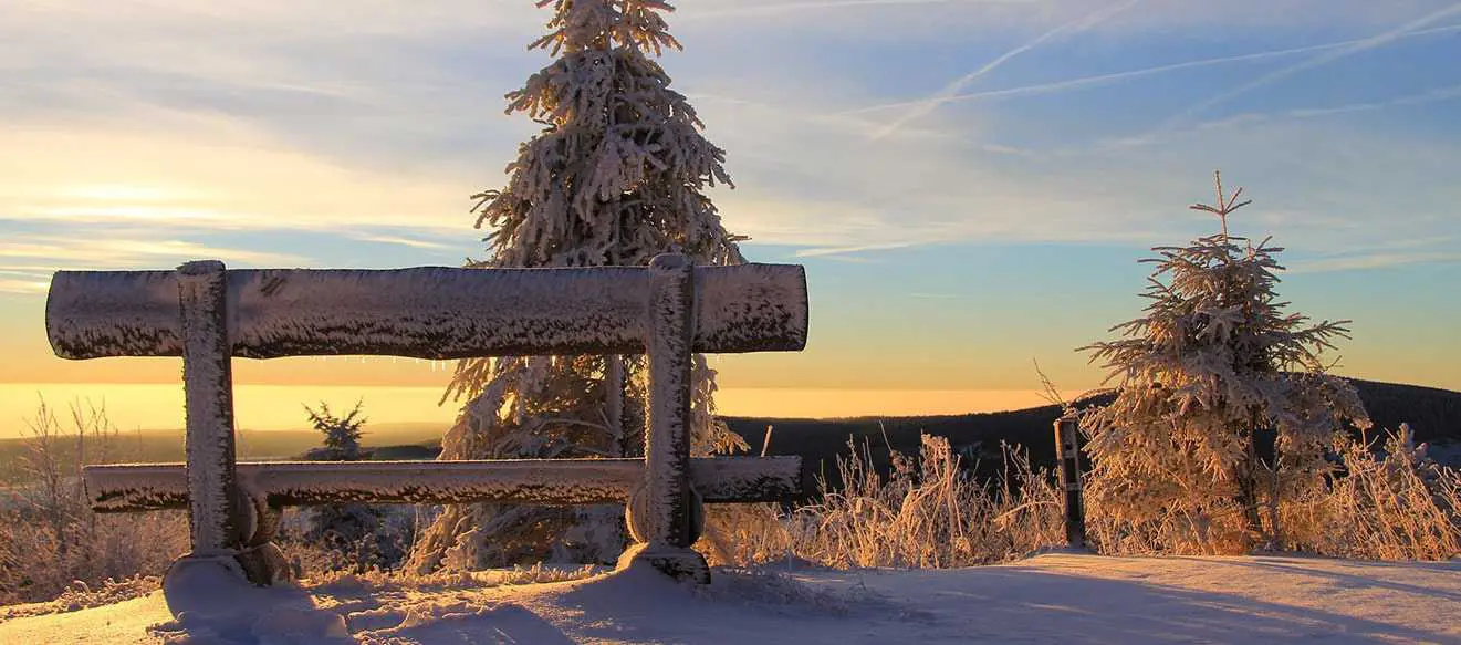 Winter Landscape