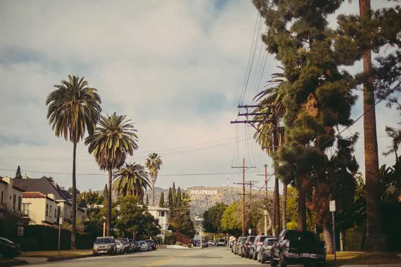 Hollywood Sign on The Hill