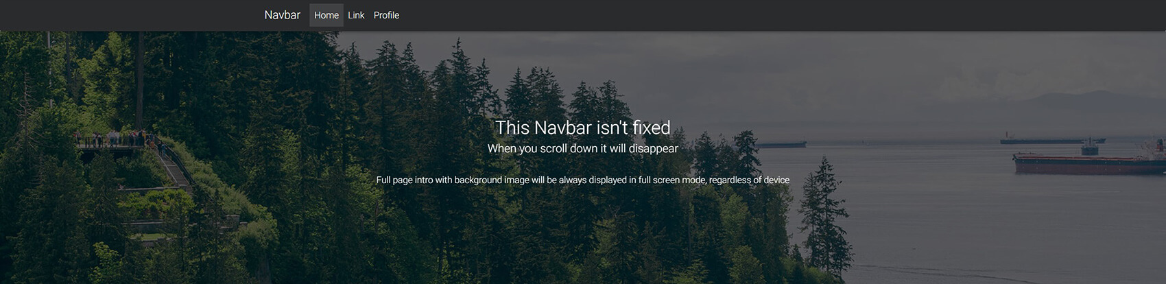 Website with a regular fixed Navbar.