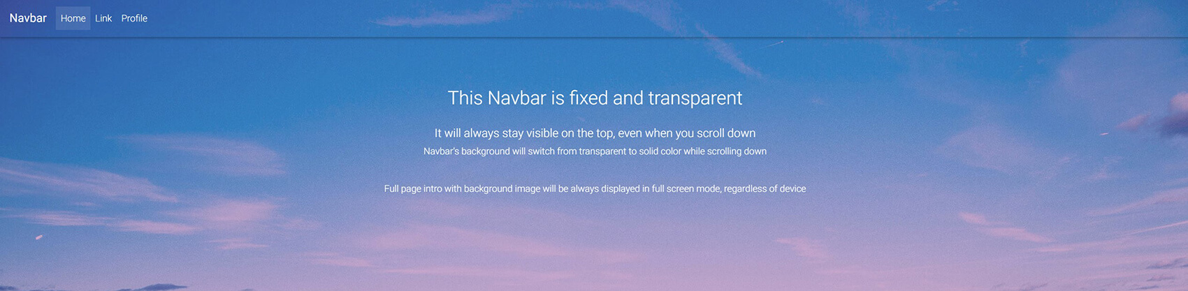 Website with a regular fixed Navbar.