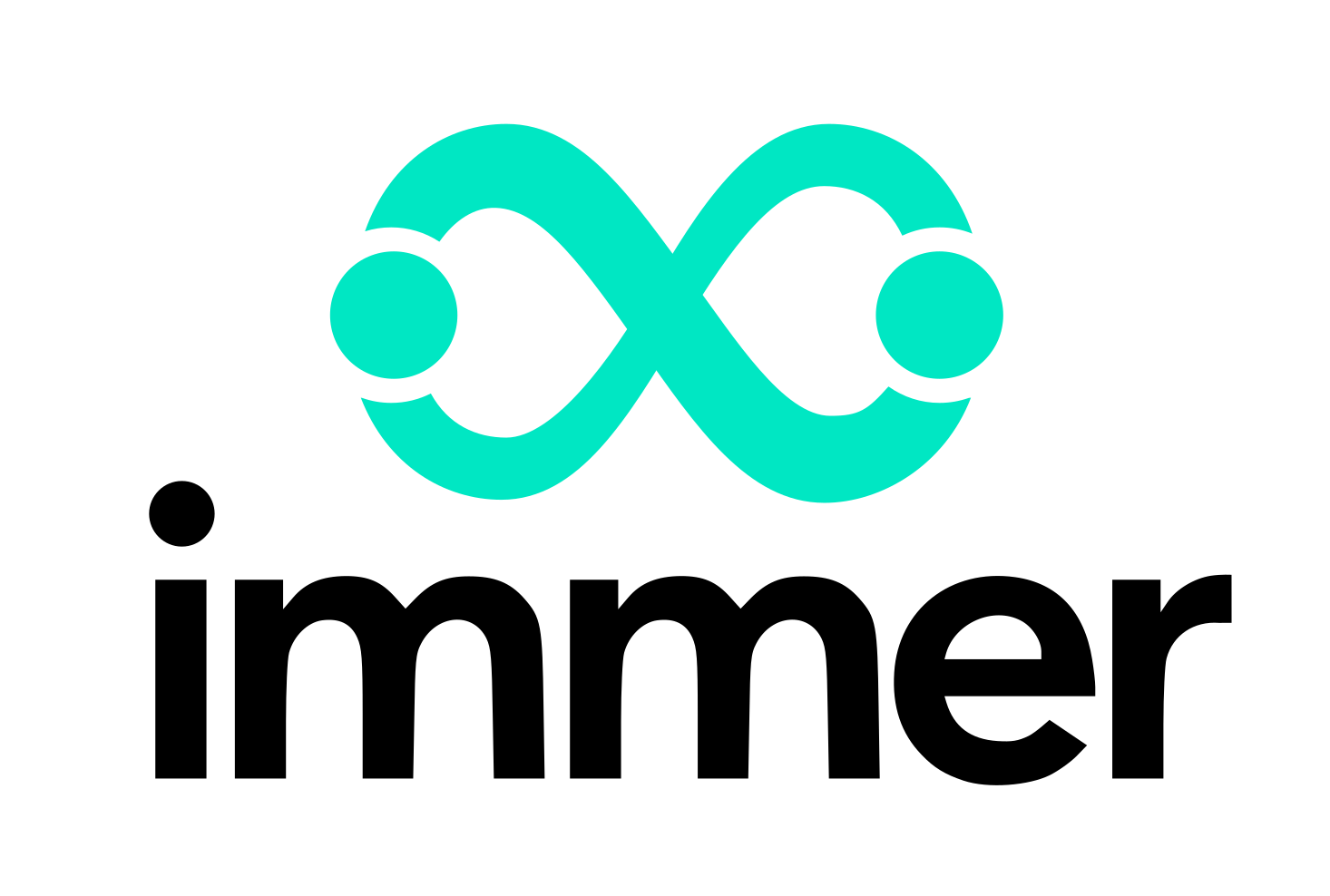immer logo