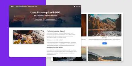 Bootstrap 5 Miscellaneous Template